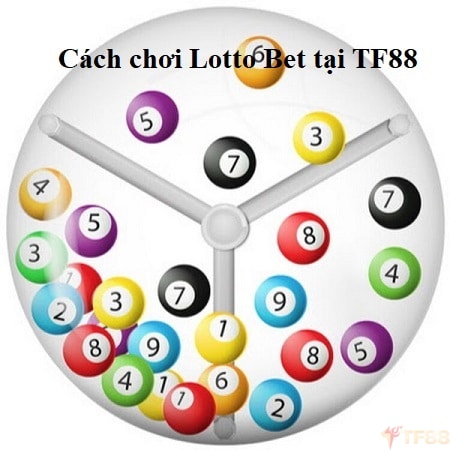Cách chơi Lotto Bet tại TF88